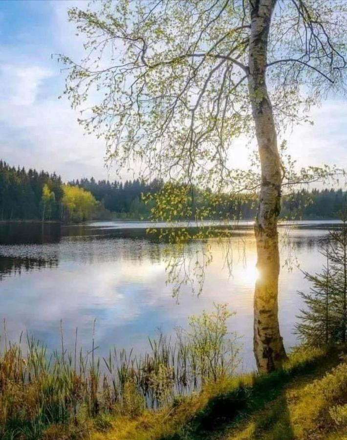 Stilingi Apartamentai Su Virtuve Traku Miesto Centre Trakai Luaran gambar