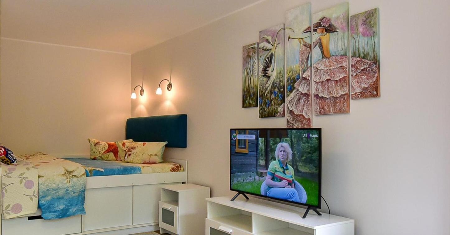 Stilingi Apartamentai Su Virtuve Traku Miesto Centre Trakai Luaran gambar